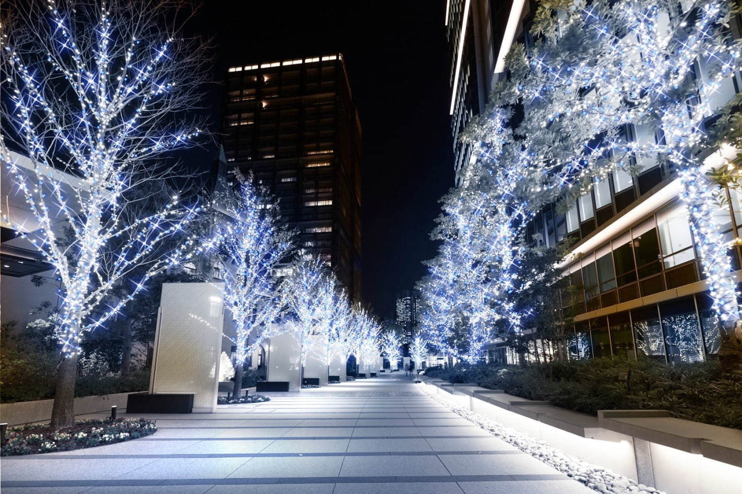 イルミネーション2019-20＜関東版＞東京・神奈川・千葉ほか、クリスマスを彩る幻想スポット｜写真12