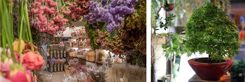 代官山T-SITEで様々な植物店が集結するマルシェイベント開催 - 生花や多肉植物、苔玉など｜写真3