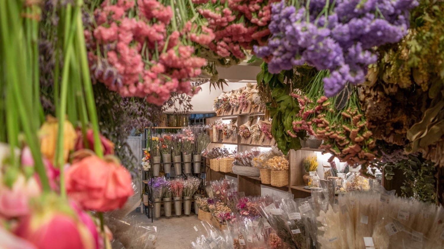 代官山T-SITEで様々な植物店が集結するマルシェイベント開催 - 生花や多肉植物、苔玉など｜写真5