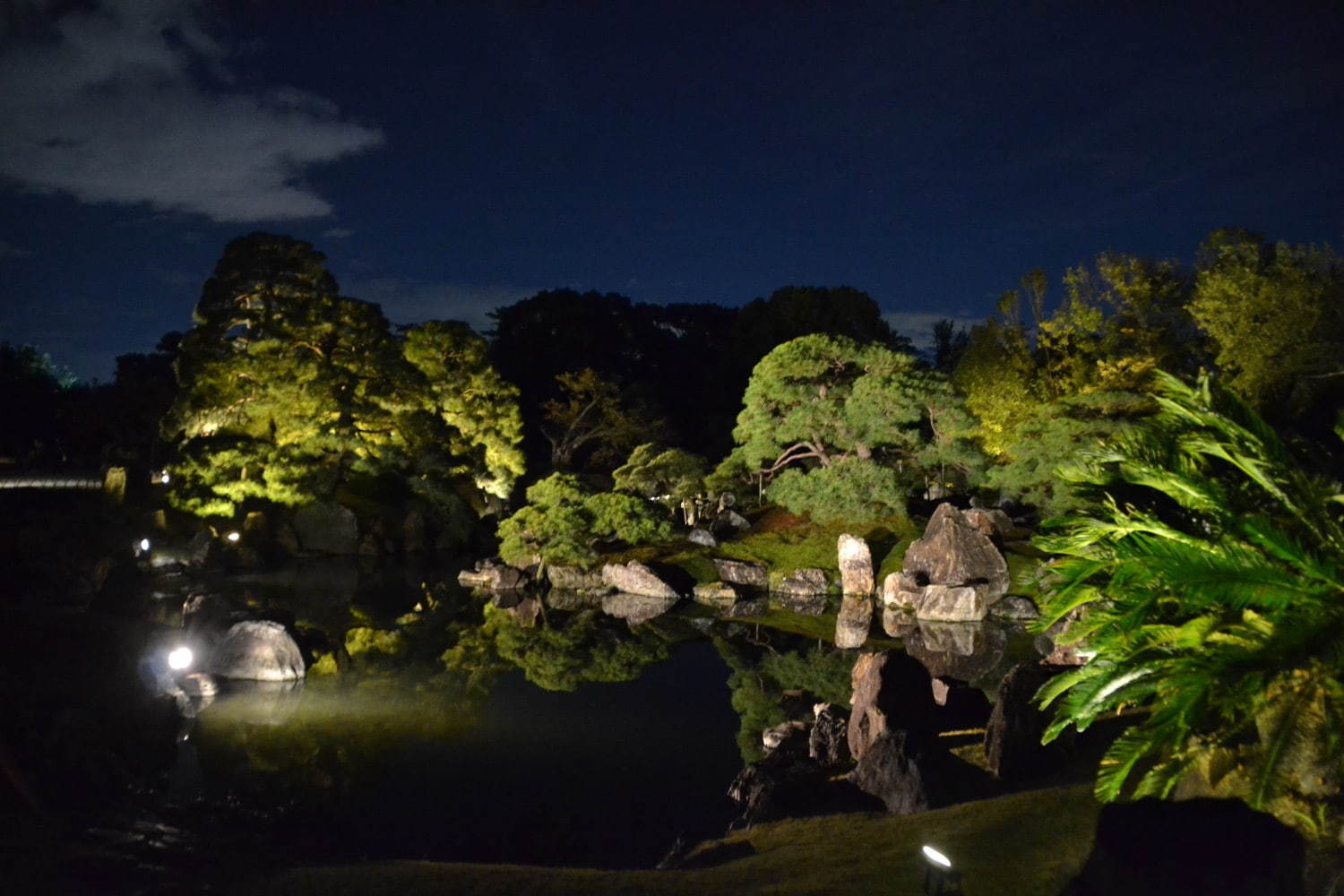 花の体感型アート展「フラワーズ バイ ネイキッド」京都・二条城で、“鳳凰”がテーマ｜写真3