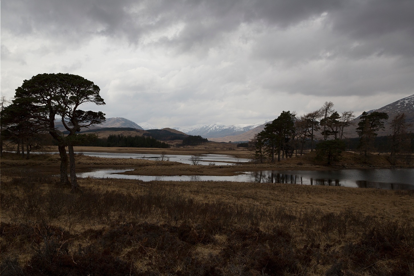 国立科学博物館「風景の科学展 芸術と科学の融合」