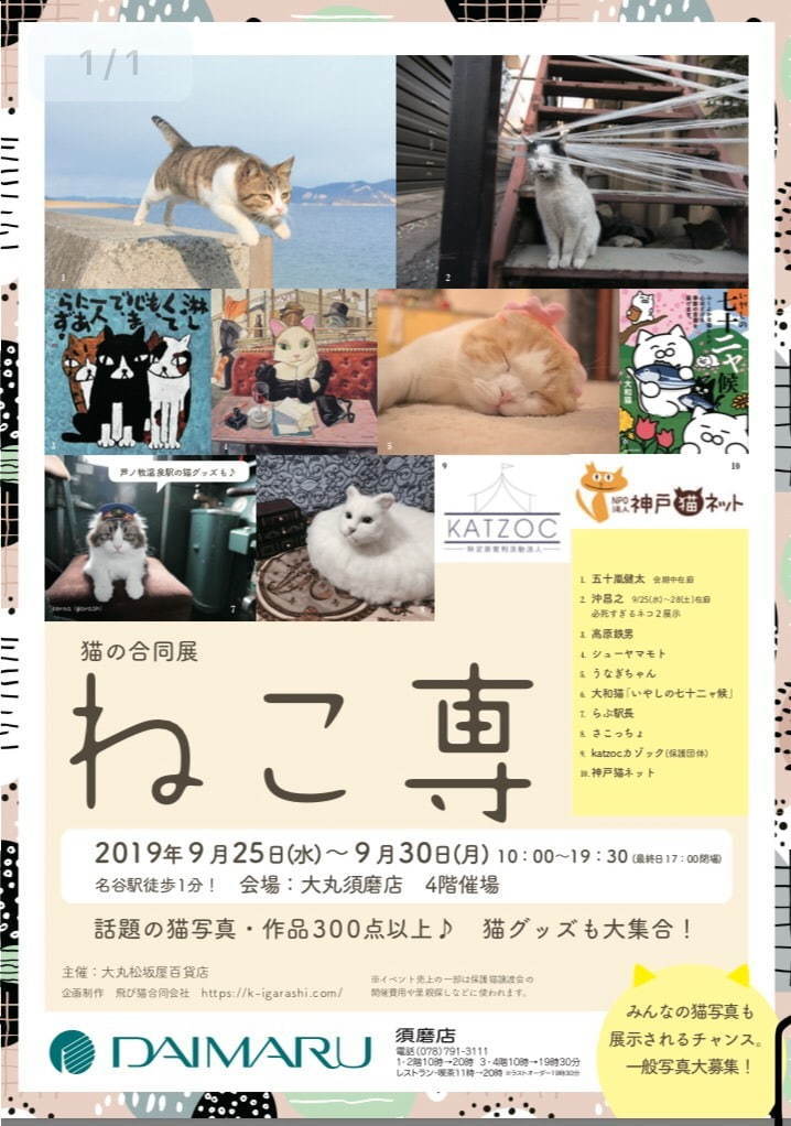 猫の合同展「ねこ専」神戸の大丸須磨店で - 猫の写真・イラストや雑貨300点以上が集結｜写真20