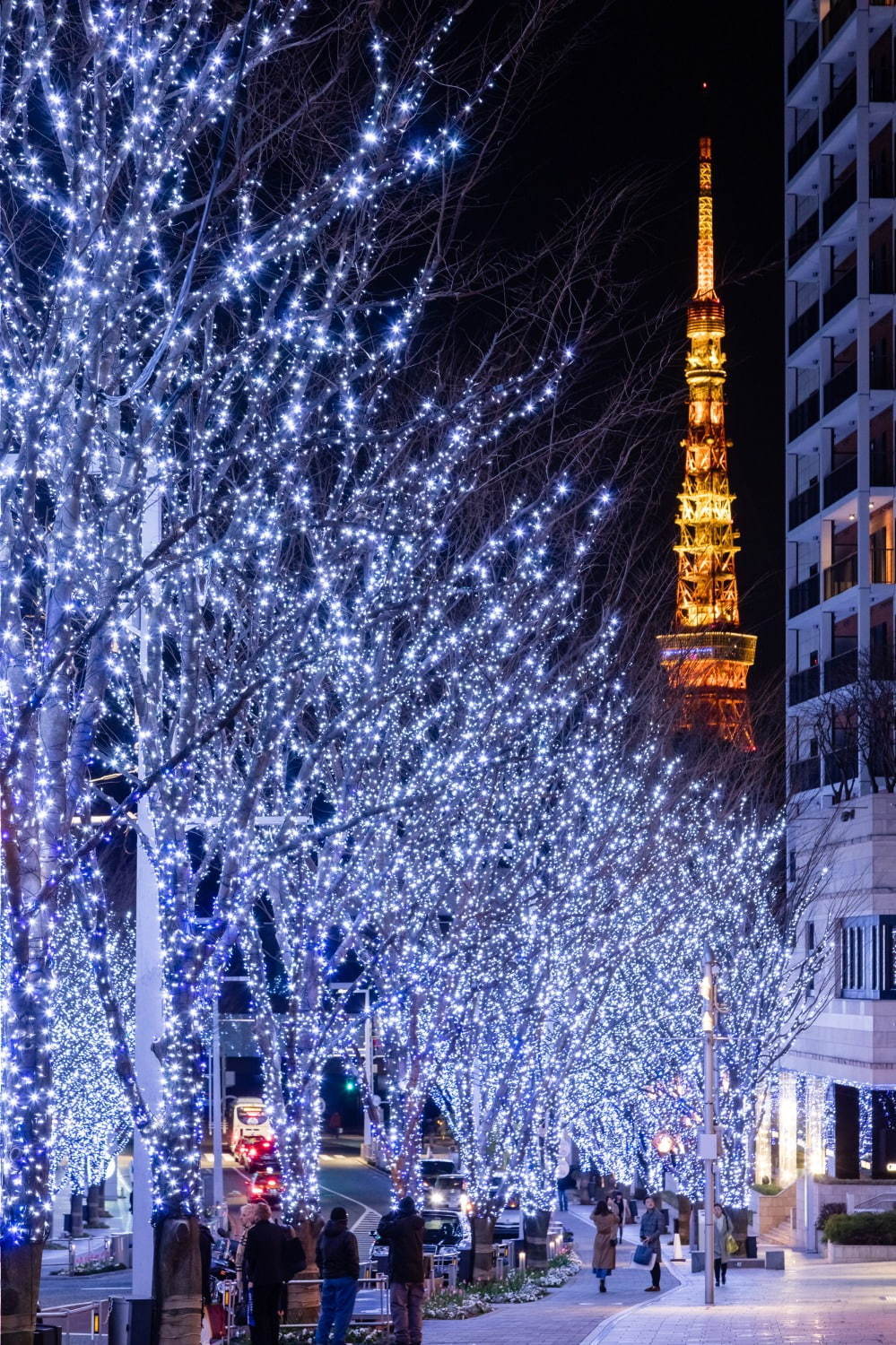 六本木ヒルズのクリスマス「けやき坂イルミネーション」