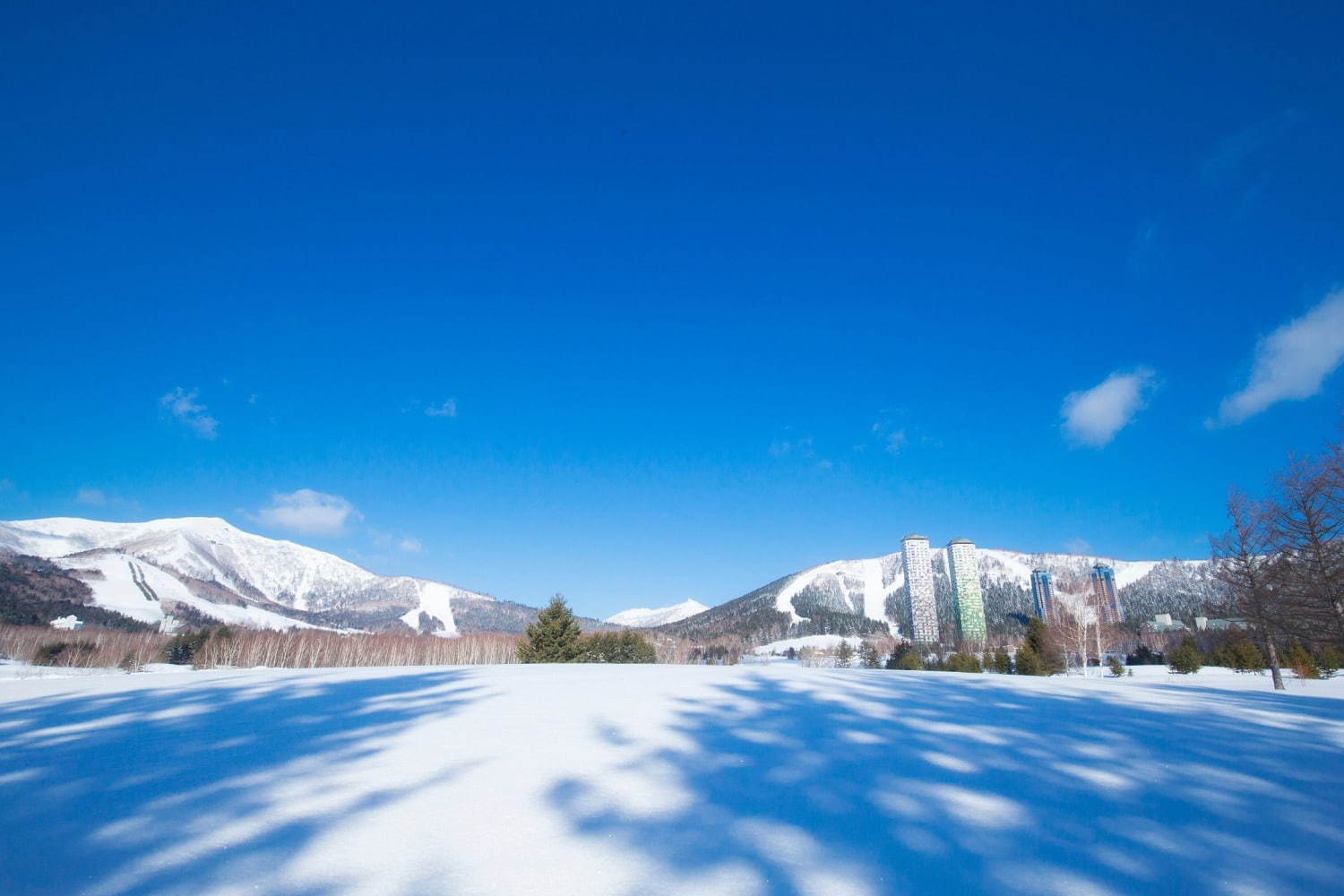 北海道・星野リゾート トマム「氷のホテル」静かな白樺の森で星空を眺める"氷の露天風呂"｜写真8