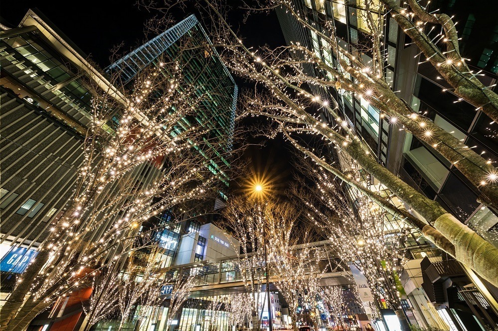 グランフロント大阪のクリスマス、約8mの巨大ツリーやシャンパンゴールドイルミネーション｜写真4