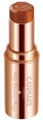 キャンメイク19秋コスメ、とろける高発色"生レアルージュ"からテラコッタ＆ブラウンレッド｜写真1