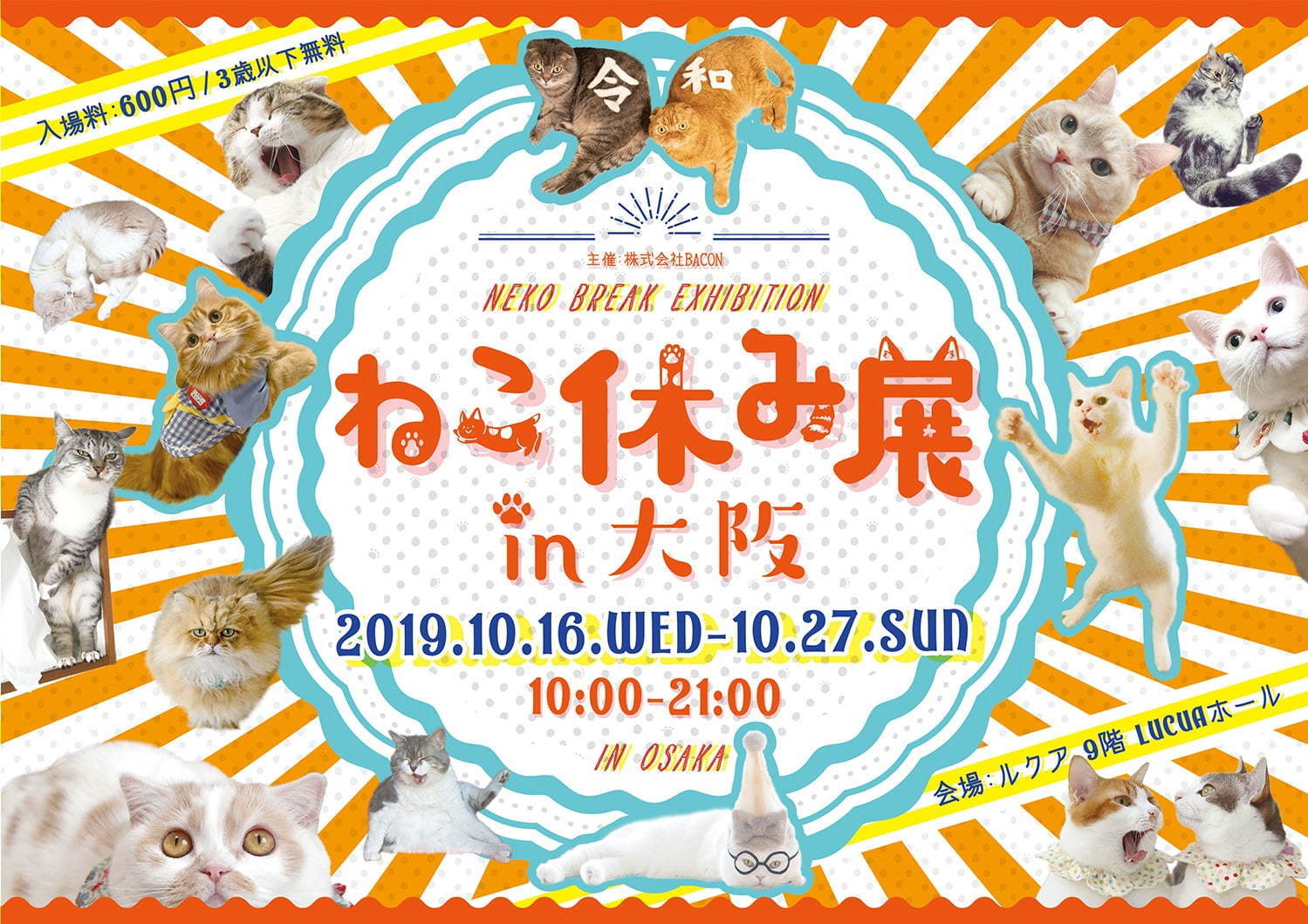 猫の合同写真＆物販展「ねこ休み展」ルクア大阪で、阪神タイガースとのコラボ作品を初公開｜写真19