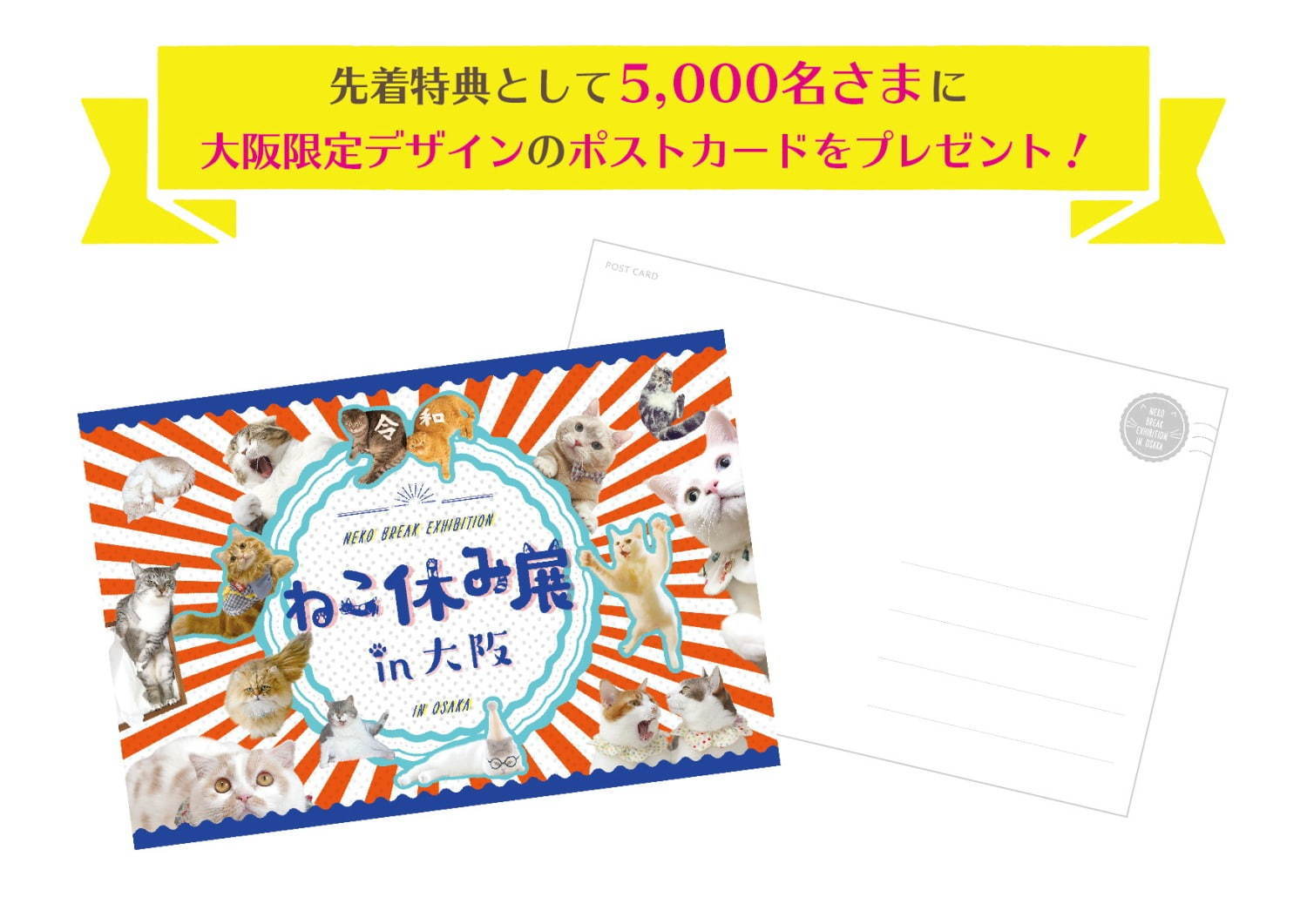 猫の合同写真＆物販展「ねこ休み展」ルクア大阪で、阪神タイガースとのコラボ作品を初公開｜写真18