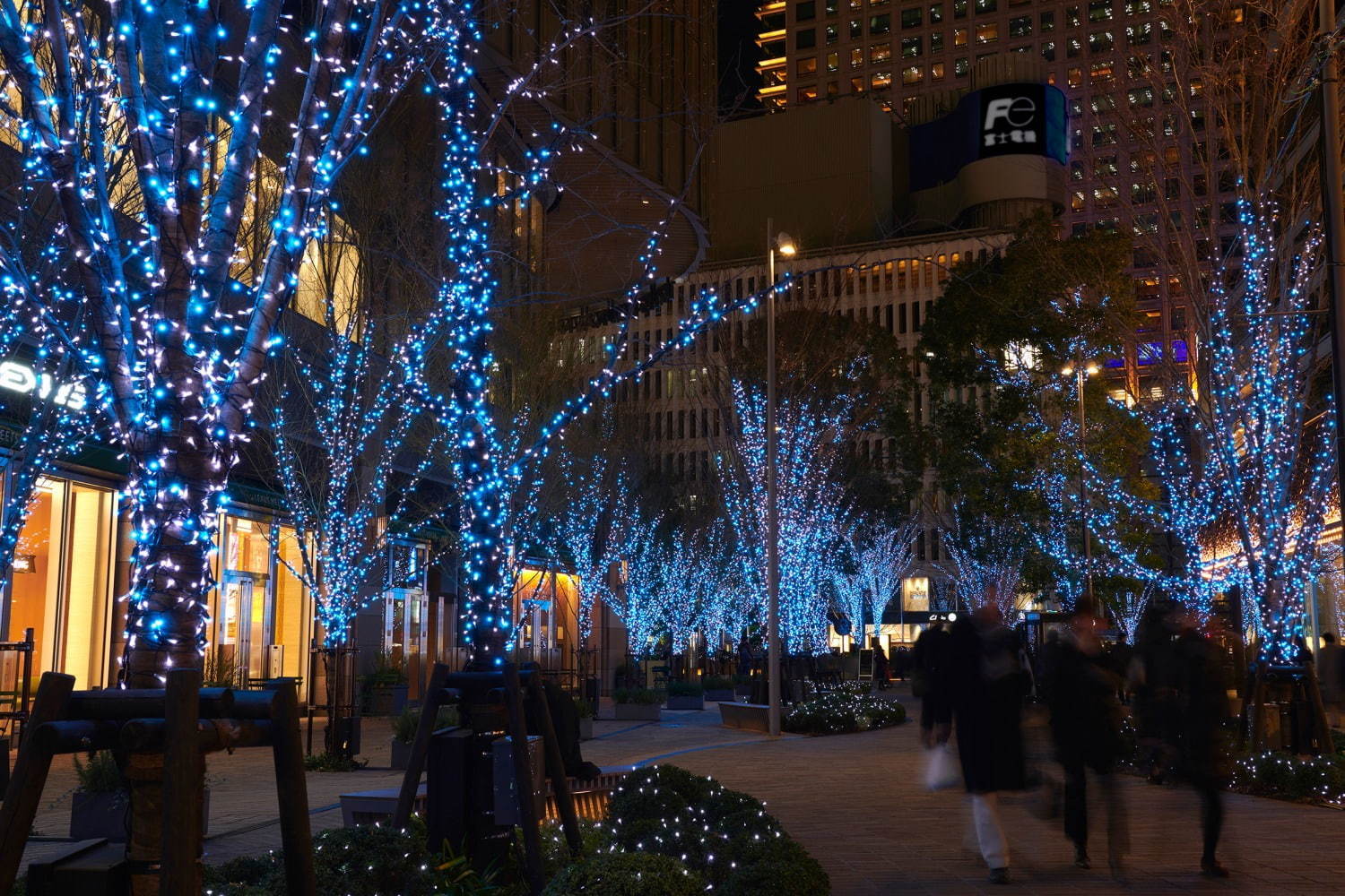 東京ミッドタウン日比谷のイルミネーション“宇宙”着想のクリスマスツリー＆季節で変わるライトアップ｜写真3