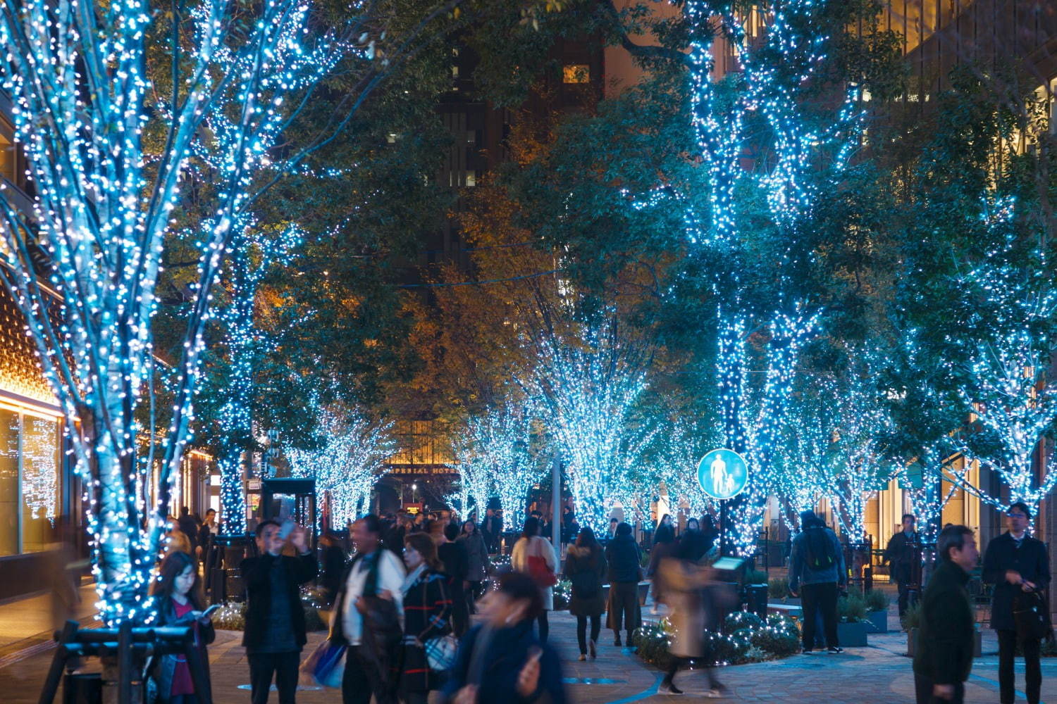 東京ミッドタウン日比谷のイルミネーション“宇宙”着想のクリスマスツリー＆季節で変わるライトアップ｜写真7