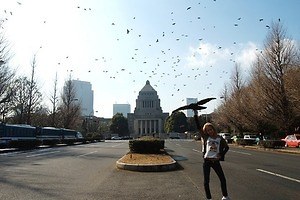 Chim↑Pomの大型回顧展が森美術館で - 初期～新作を一挙紹介、現代社会を考察する活動の全貌