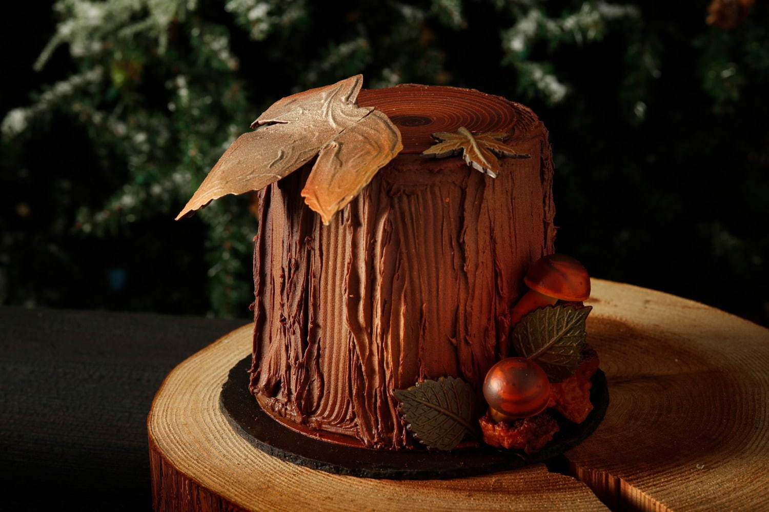 ウェスティンホテル東京のクリスマスケーキ、"冬の森"に着想した切り株＆丸太のチョコレートケーキ｜写真4