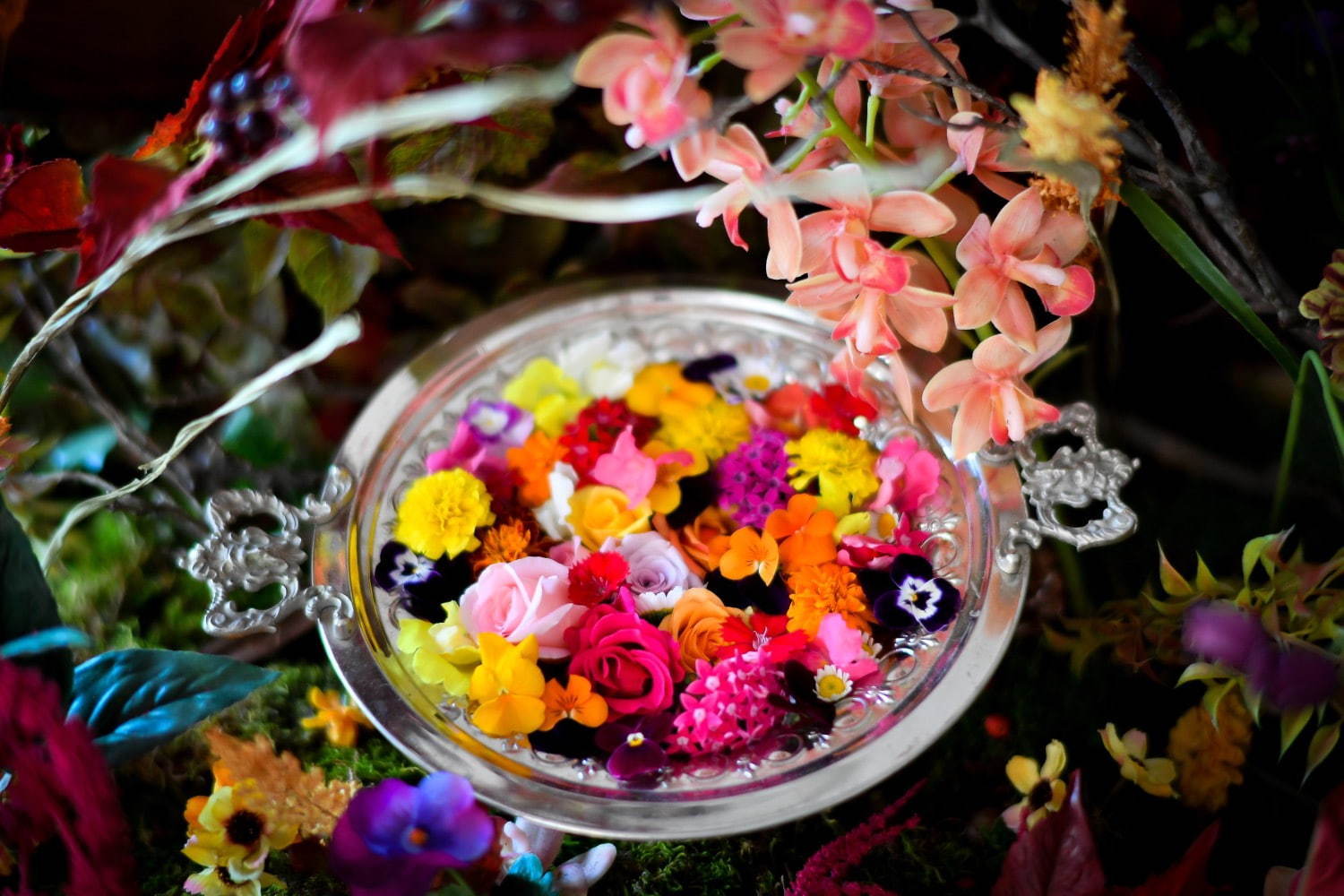 “食べられる花”体験型アートイベント「おいしい花畑」池袋にて - 花＆ハーブで彩るオリジナルドリンク｜写真9