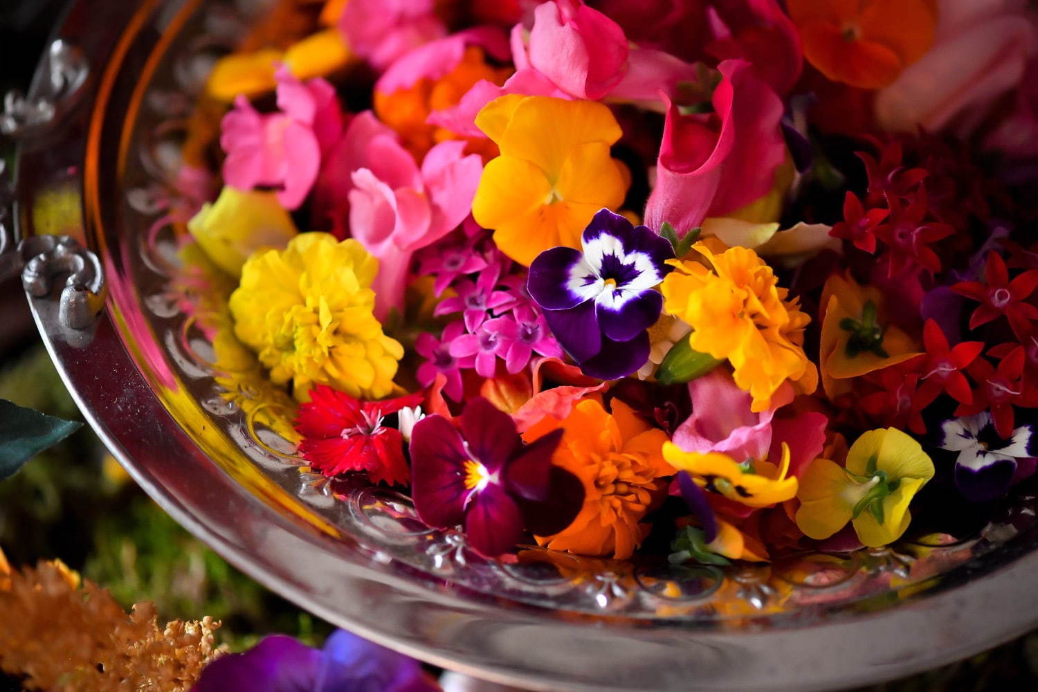“食べられる花”体験型アートイベント「おいしい花畑」池袋にて - 花＆ハーブで彩るオリジナルドリンク｜写真16