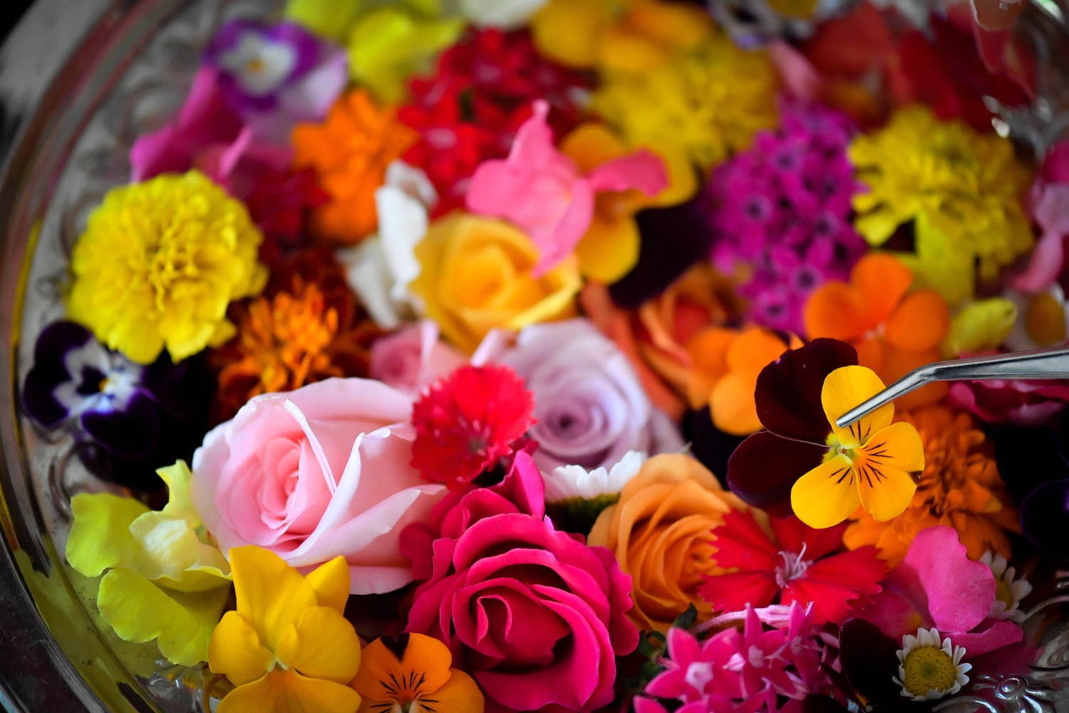 “食べられる花”体験型アートイベント「おいしい花畑」池袋にて - 花＆ハーブで彩るオリジナルドリンク｜写真14