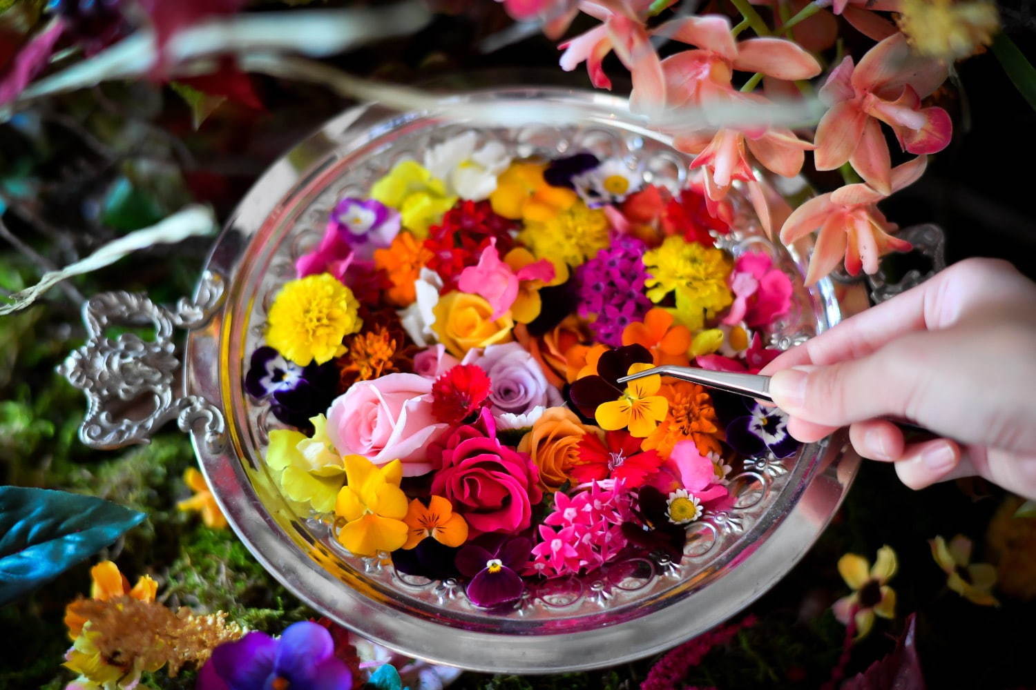 “食べられる花”体験型アートイベント「おいしい花畑」池袋にて - 花＆ハーブで彩るオリジナルドリンク｜写真2