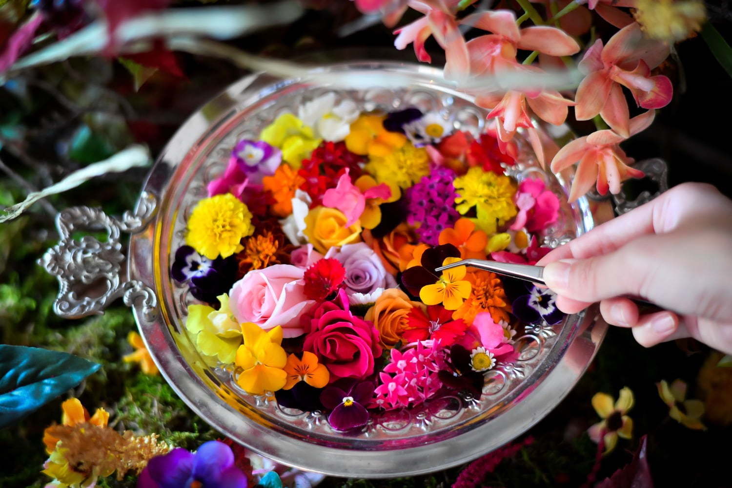食べられる花 体験型アートイベント おいしい花畑 池袋にて 花 ハーブで彩るオリジナルドリンク ファッションプレス
