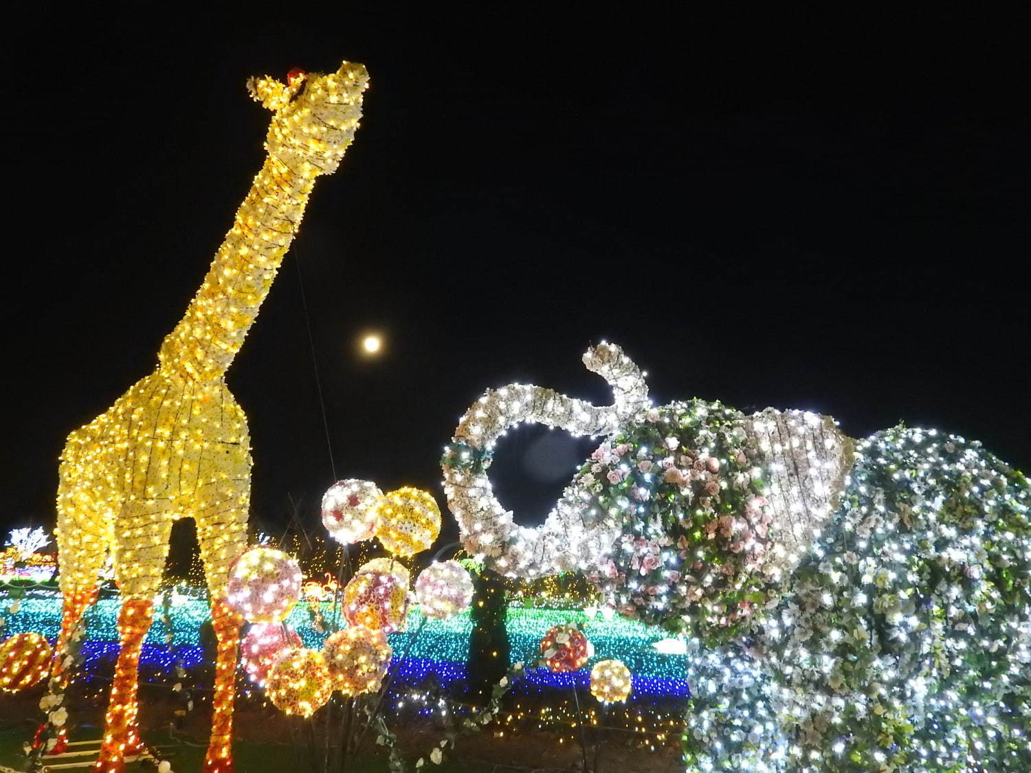 東武動物公園のウィンターイルミネーション19年、鮮やかなレーザー輝く音楽×光×映像ショーも｜写真6