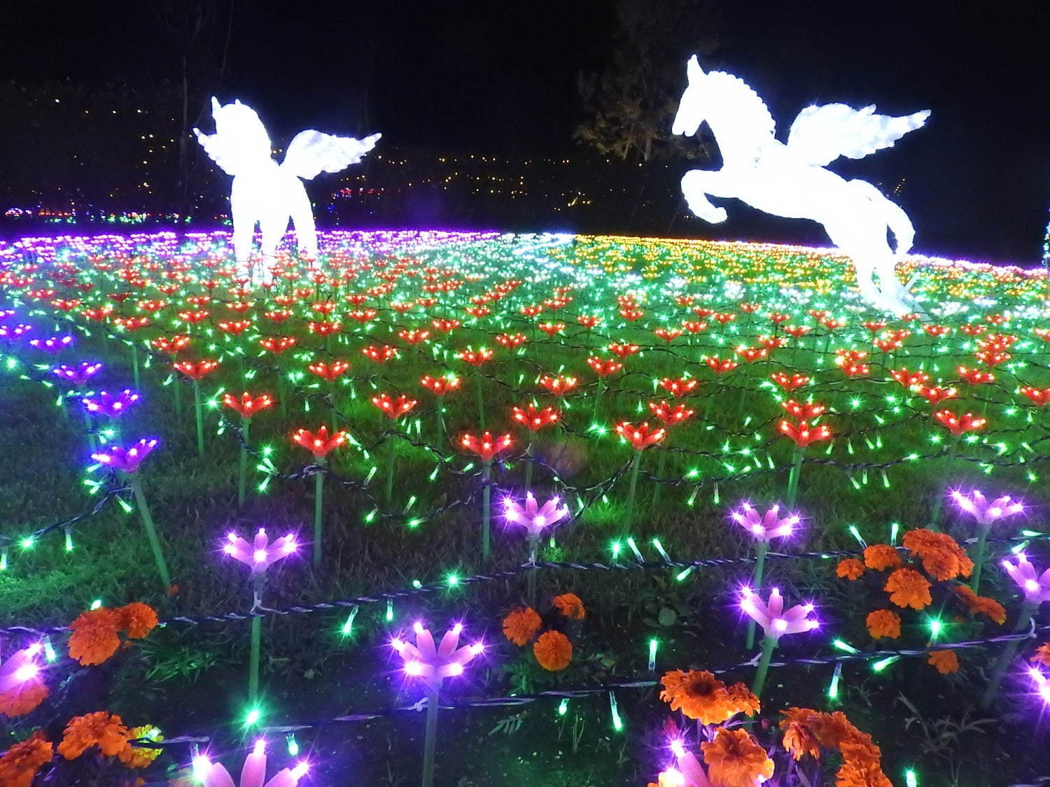 東武動物公園のウィンターイルミネーション19年、鮮やかなレーザー輝く音楽×光×映像ショーも｜写真12