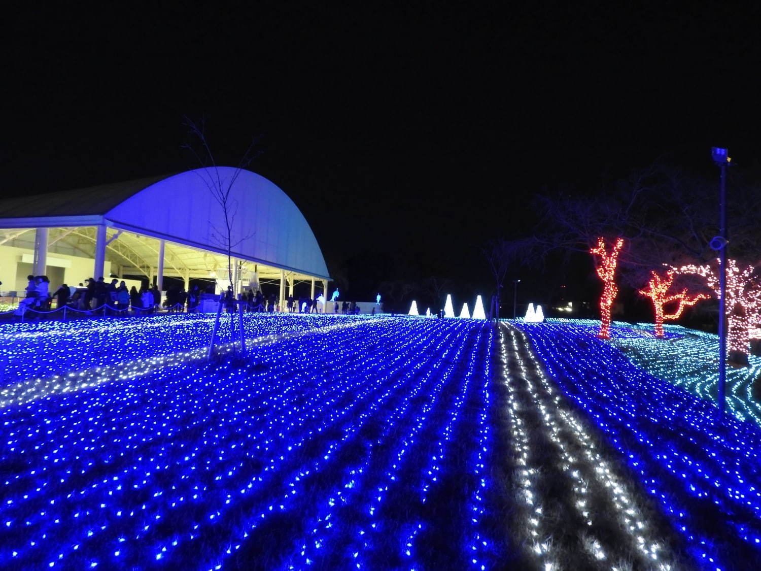 東武動物公園のウィンターイルミネーション19年、鮮やかなレーザー輝く音楽×光×映像ショーも｜写真4