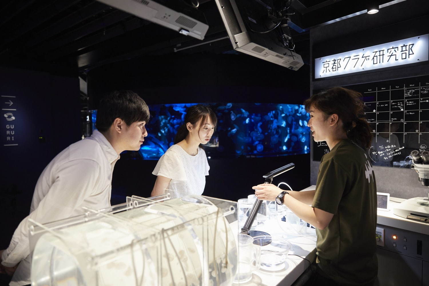 京都水族館初の大規模リニューアル、約20種5,000匹の新クラゲ展示エリア「クラゲワンダー」誕生｜写真22