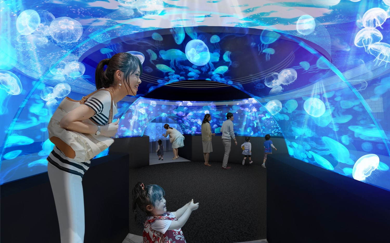京都水族館初の大規模リニューアル、約20種5,000匹の新クラゲ展示エリア「クラゲワンダー」誕生｜写真2