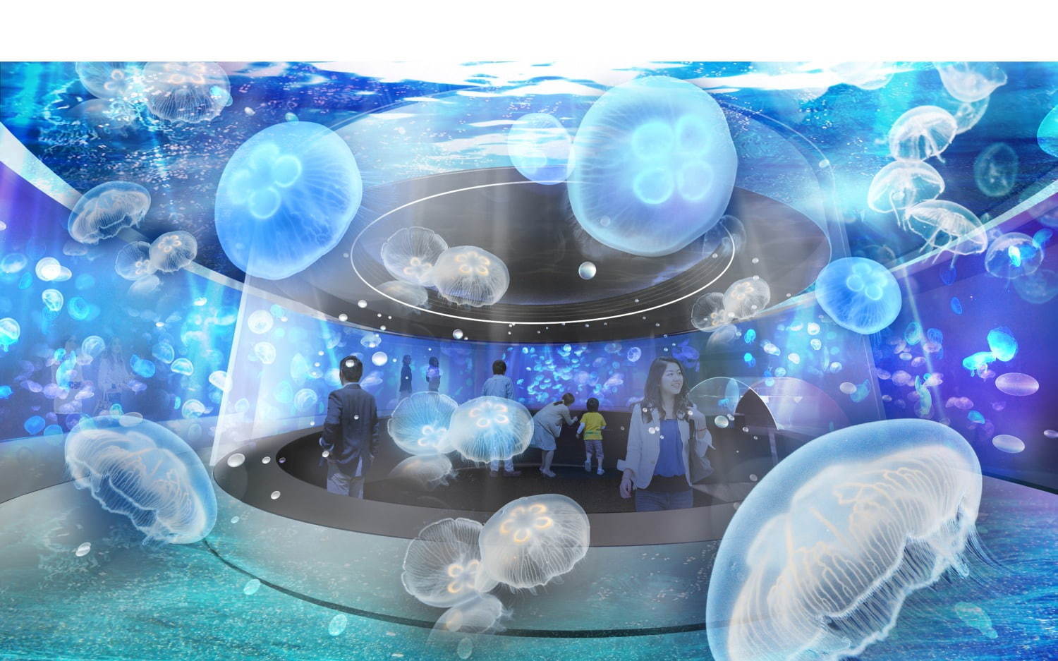 「京都水族館」が初の大規模リニューアル、新クラゲ展示エリア誕生