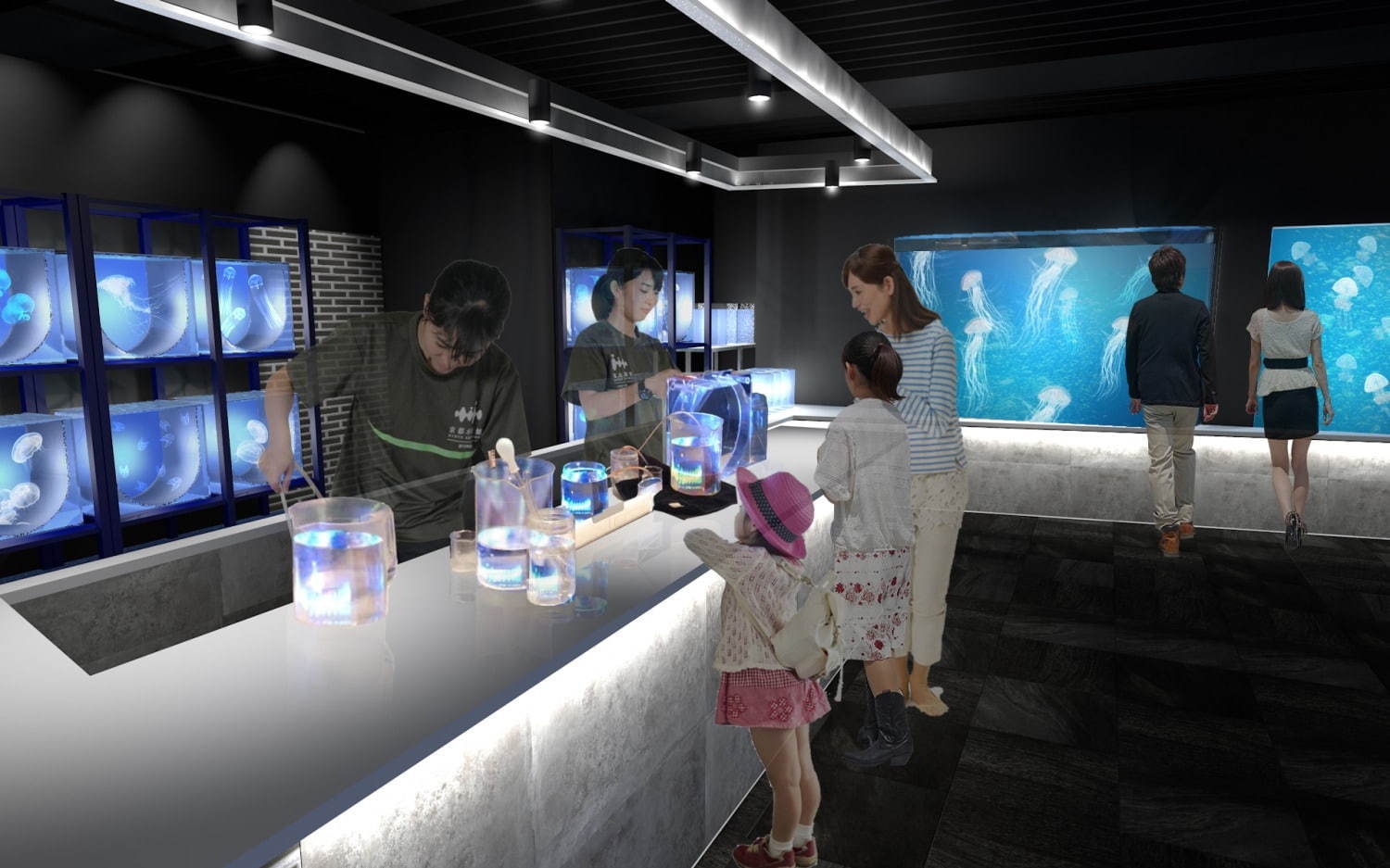 京都水族館初の大規模リニューアル、約20種5,000匹の新クラゲ展示エリア「クラゲワンダー」誕生｜写真3