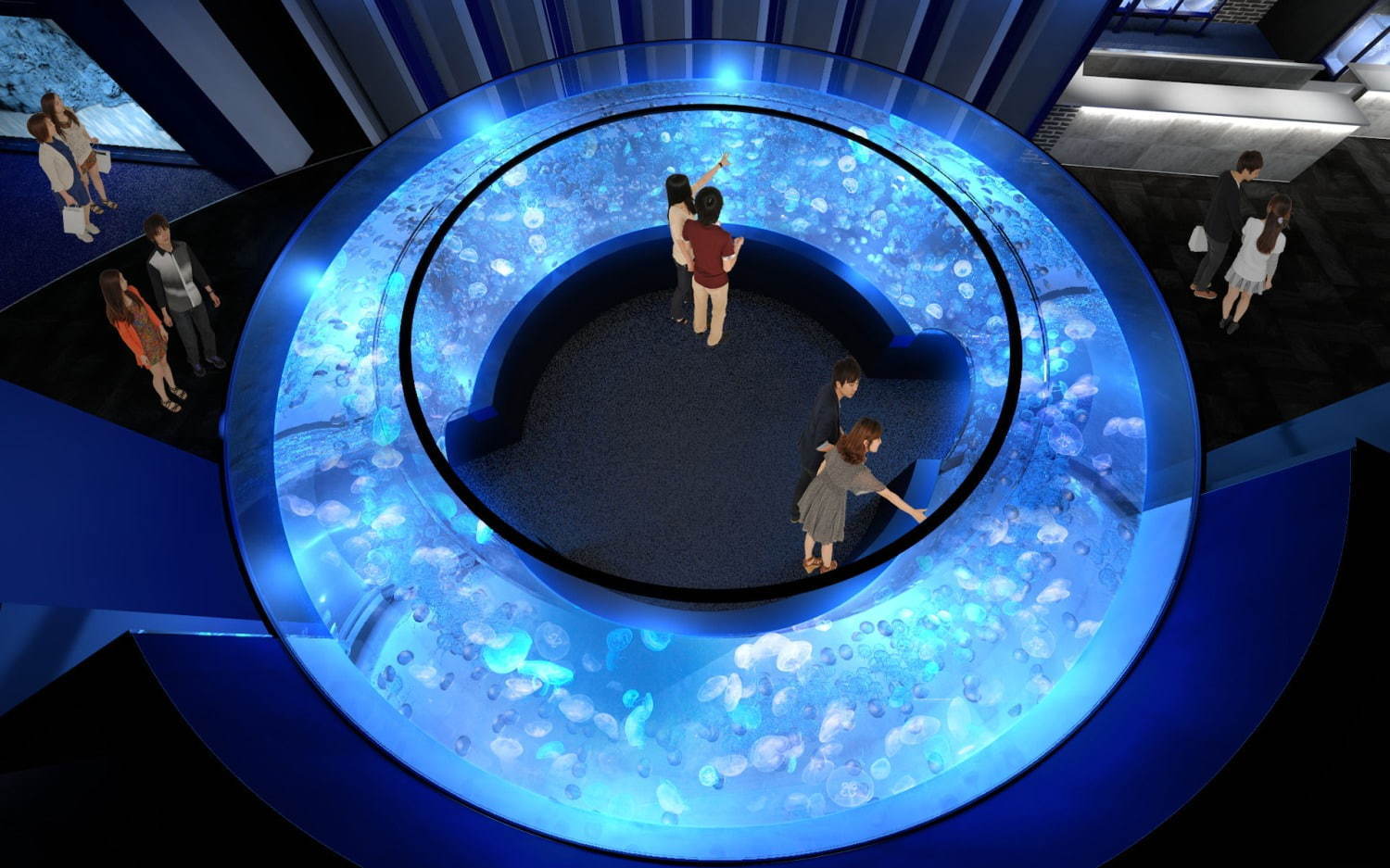 京都水族館初の大規模リニューアル、約20種5,000匹の新クラゲ展示エリア「クラゲワンダー」誕生｜写真4