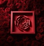 ピエール・エルメ・パリ(PIERRE HERMÉ PARIS) イスパハン｜写真31