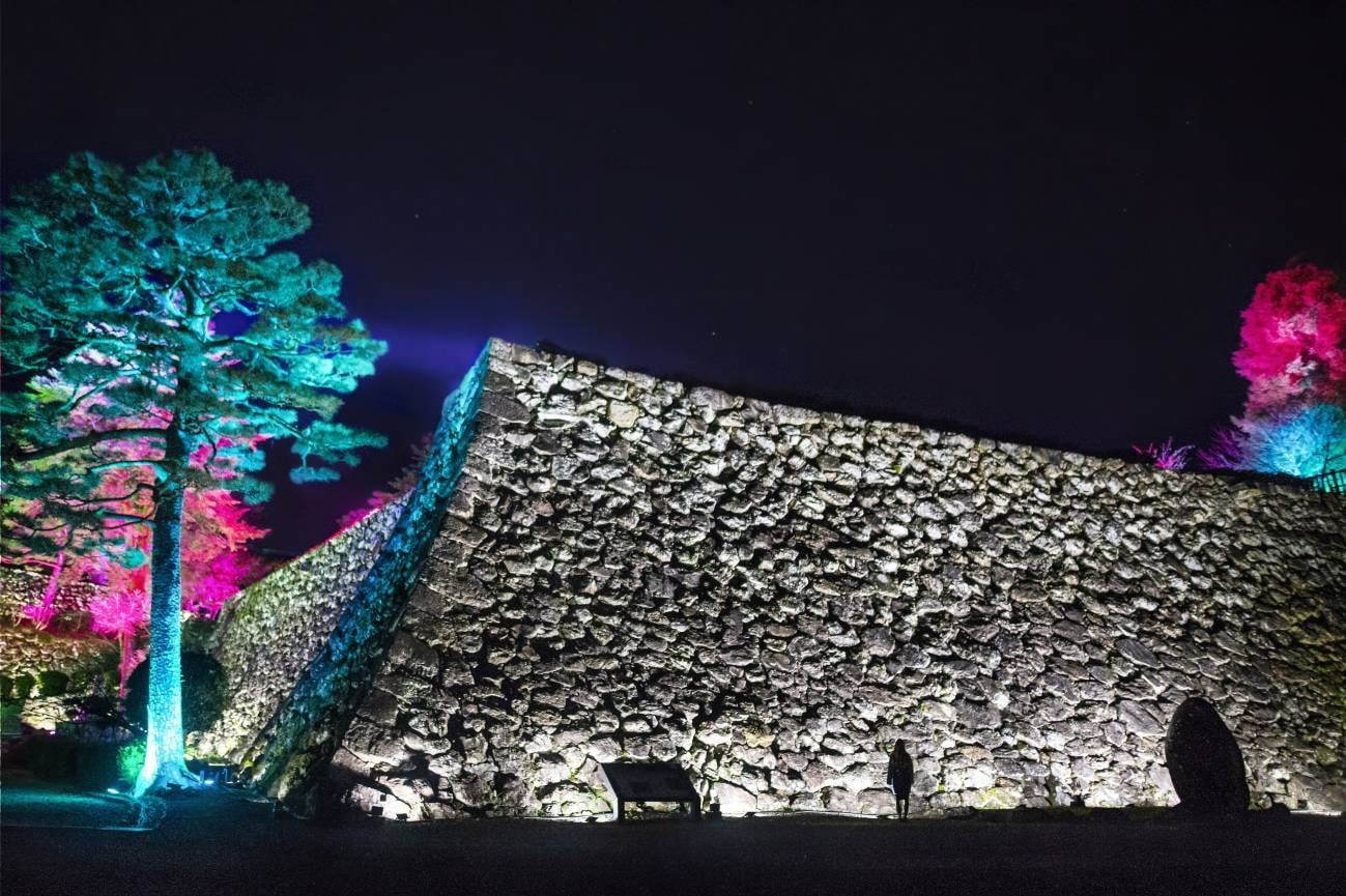 チームラボのアート展が日本三大夜城・高知城で、“光のアート”で包む国の重要文化財｜写真5