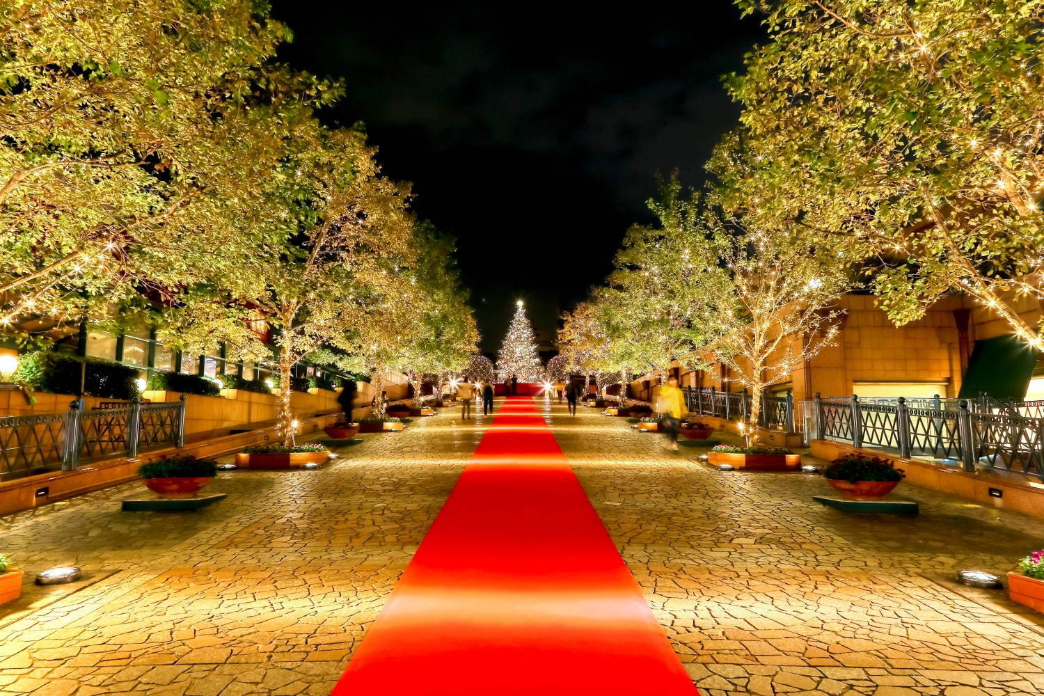 恵比寿ガーデンプレイスのイルミネーション2019、バカラ世界最大級シャンデリアやシャンパンバー｜写真7