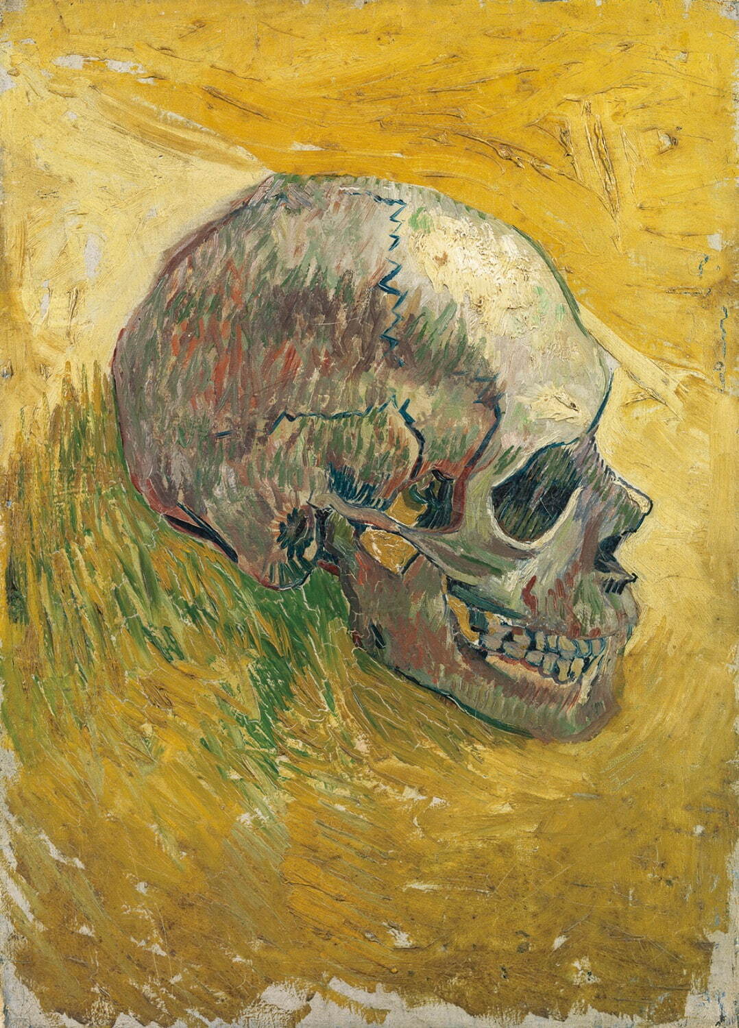 フィンセント・ファン・ゴッホ 《髑髏》
1887年 油彩／キャンヴァス ファン・ゴッホ美術館、アムステルダム(フィンセント・ファン・ゴッホ財団)
Van Gogh Museum, Amsterdam (Vincent van Gogh Foundation)