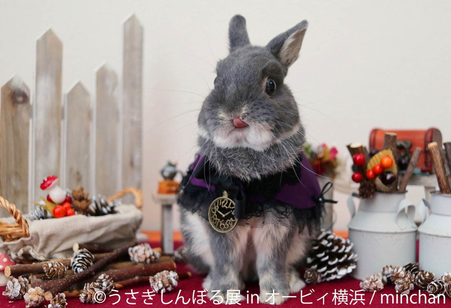 うさぎの合同写真＆物販展「うさぎしんぼる展」オービィ横浜で、うさぎアクセサリーなど販売｜写真2