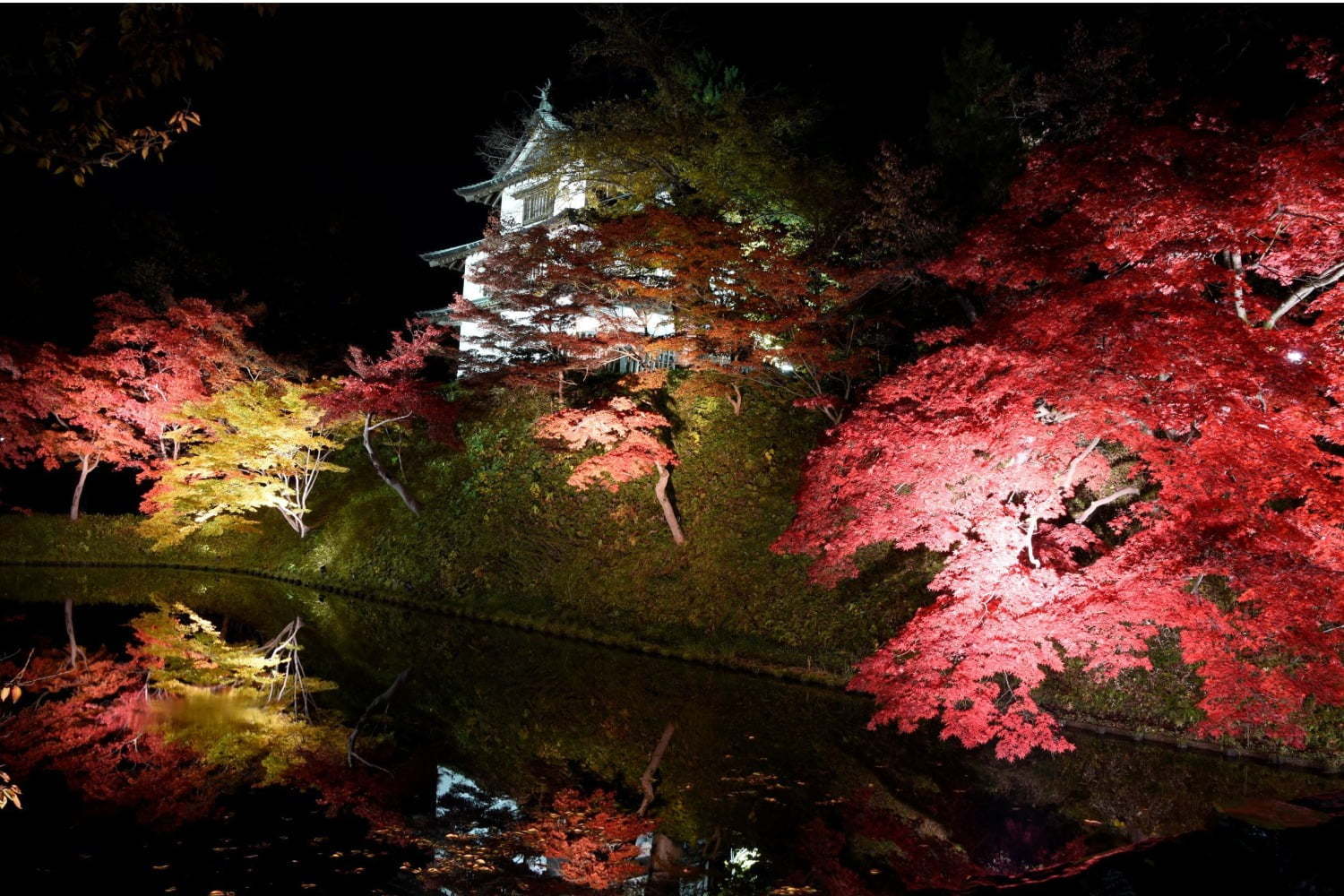 弘前城 菊と紅葉まつり 青森 弘前公園で 1 000本の楓 2600本の桜のライトアップも ファッションプレス