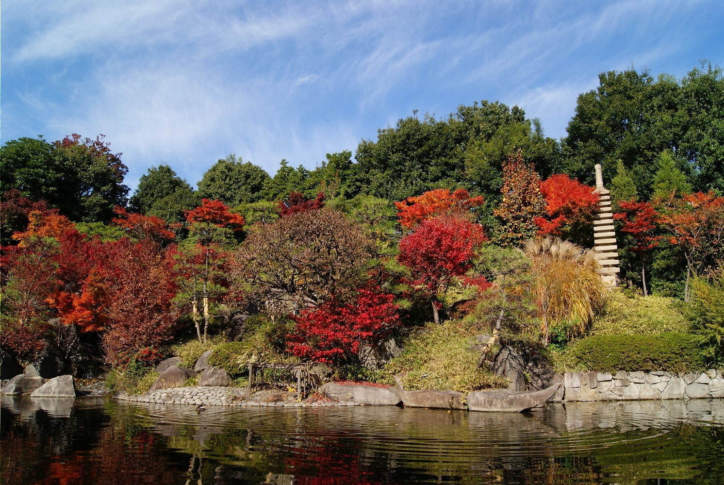 「秋の庭園ライトアップ」東京・目白庭園で、幻想的な光の庭園で見る紅葉｜写真6