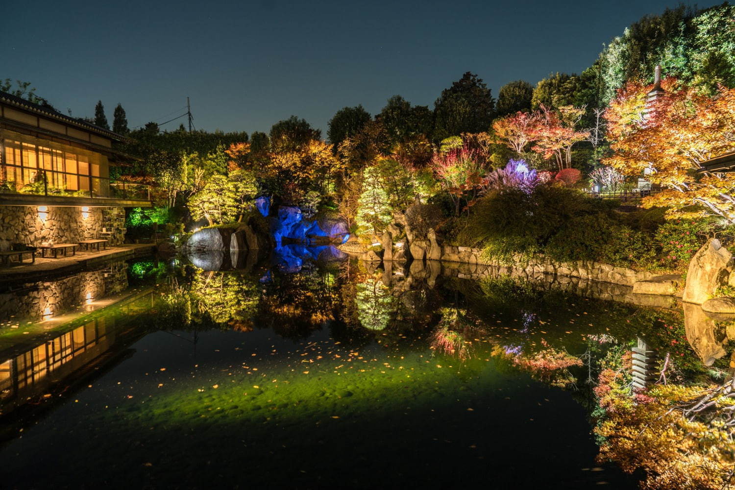 「秋の庭園ライトアップ」東京・目白庭園で、幻想的な光の庭園で見る紅葉｜写真1