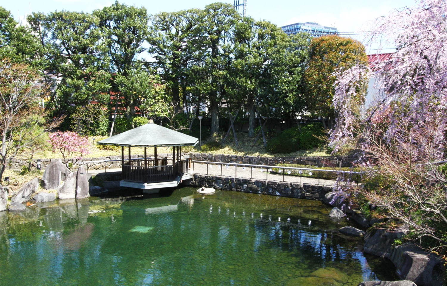 「秋の庭園ライトアップ」東京・目白庭園で、幻想的な光の庭園で見る紅葉｜写真8