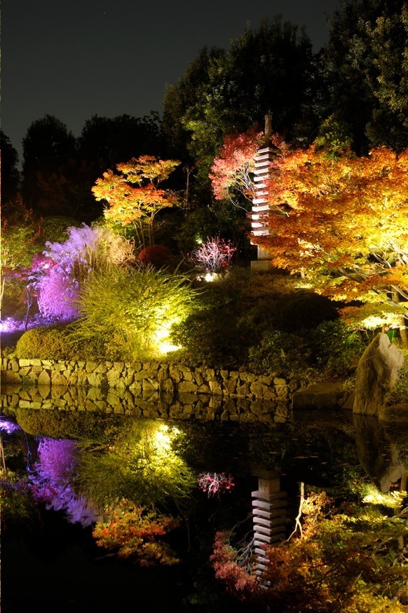 「秋の庭園ライトアップ」東京・目白庭園で、幻想的な光の庭園で見る紅葉｜写真9