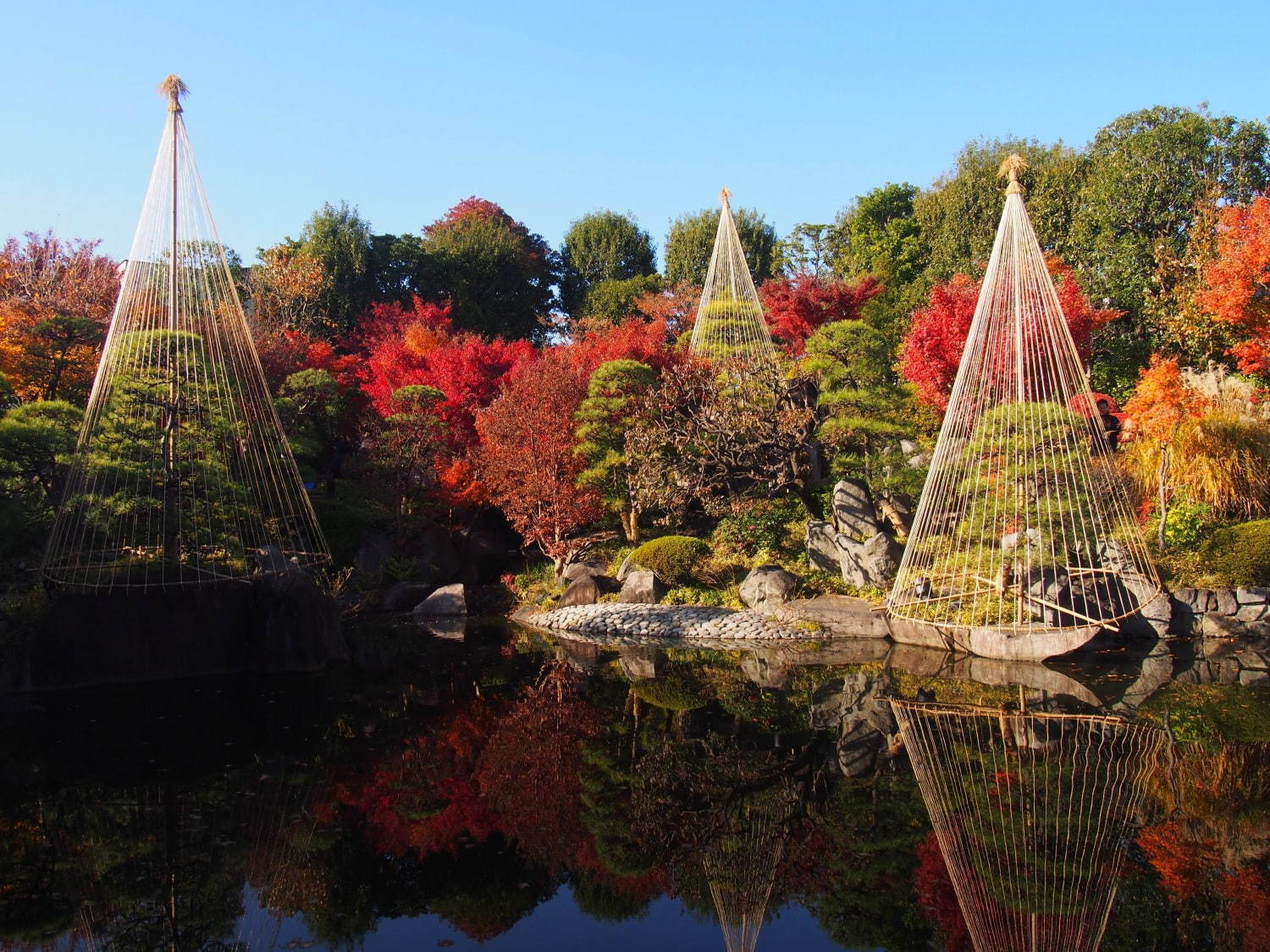 「秋の庭園ライトアップ」東京・目白庭園で、幻想的な光の庭園で見る紅葉｜写真10