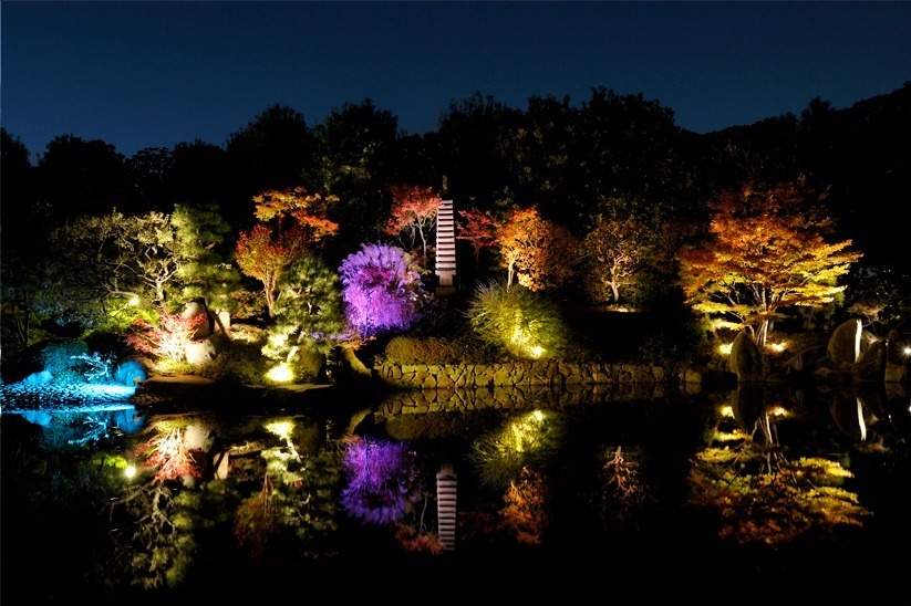 「秋の庭園ライトアップ」東京・目白庭園で、幻想的な光の庭園で見る紅葉｜写真3