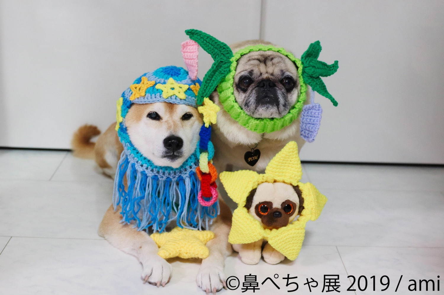 「鼻ぺちゃ展 2019」東京・浅草で、パグやシーズーなど“鼻ぺちゃ犬”の写真＆グッズが大集合｜写真3