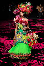 トクコ・プルミエヴォル(TOKUKO 1er Vol) バハマ｜写真1