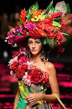 トクコ・プルミエヴォル(TOKUKO 1er Vol) バハマ｜写真2