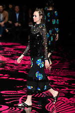 トクコ・プルミエヴォル(TOKUKO 1er Vol) バハマ｜写真32