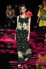 トクコ・プルミエヴォル(TOKUKO 1er Vol) バハマ｜写真39