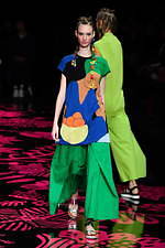 トクコ・プルミエヴォル(TOKUKO 1er Vol) バハマ｜写真41