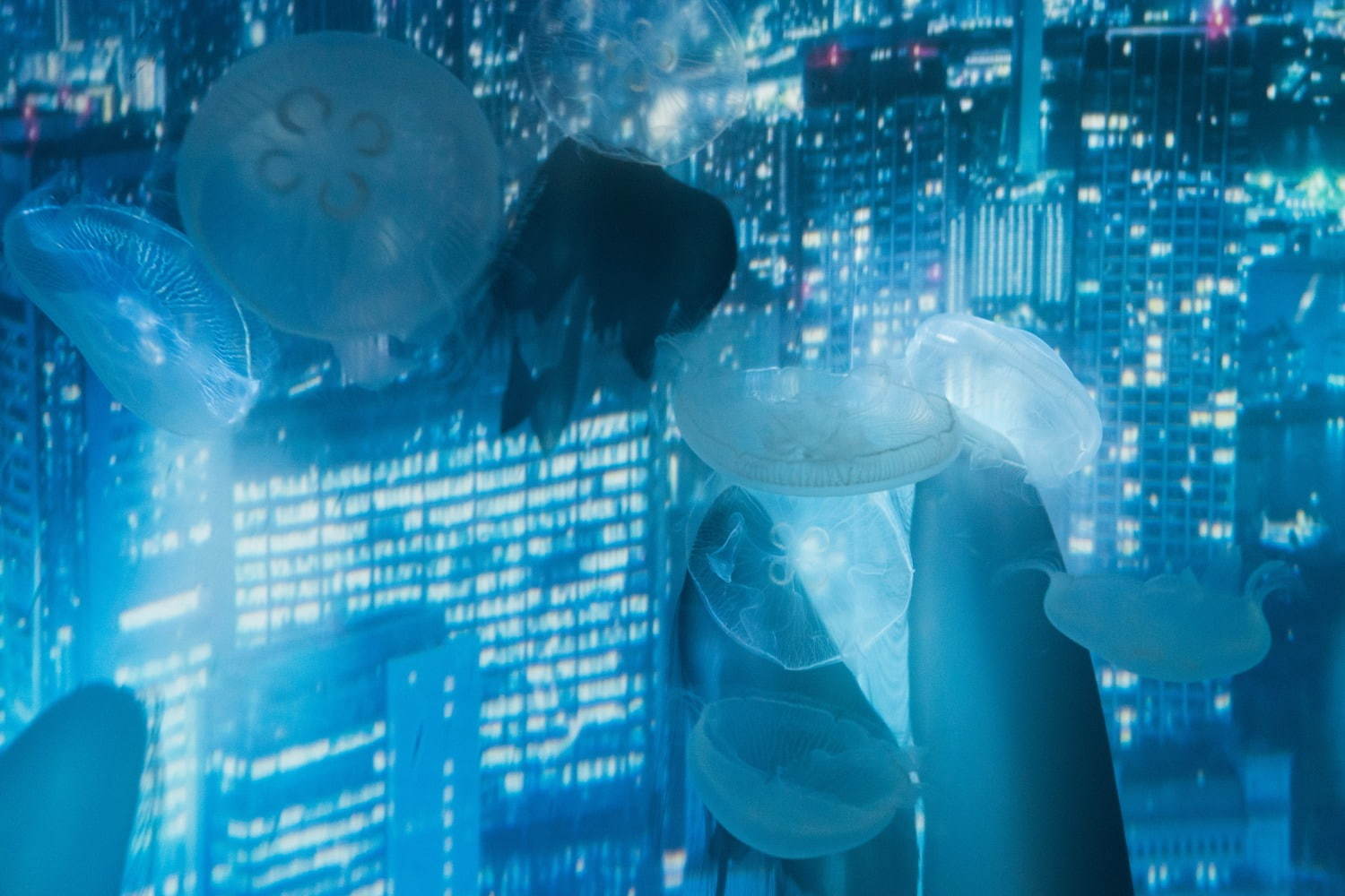 すみだ水族館「雪とクラゲ」美しい冬の都会にクラゲ浮かぶ幻想空間｜写真18