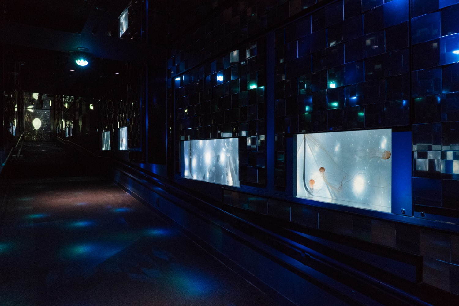 すみだ水族館「雪とクラゲ」美しい冬の都会にクラゲ浮かぶ幻想空間｜写真2
