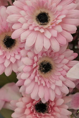 ホリデイ(HOLIDAY) 2020年春ウィメンズコレクション  - 写真2